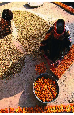 Mountain Berries and Desert Spice: Sweet Inspiration From the Hunza Valley to the Arabian Sea